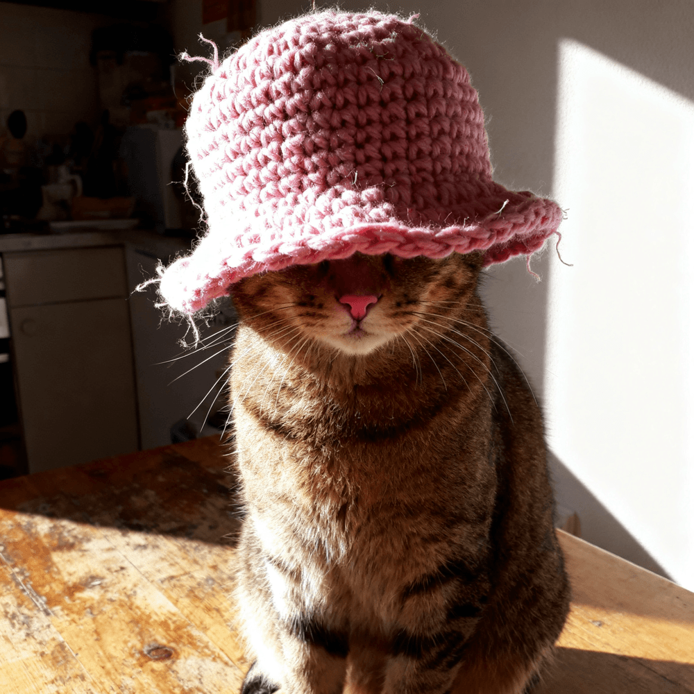 the finished beanie, hand crocheted in chunky pink yarn, worn low over a cat's eyes
